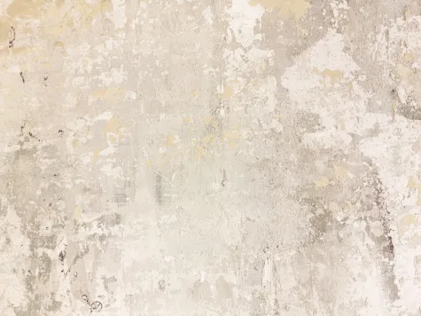 Absolut Color, Dekorativní malba