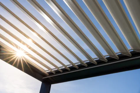 Dušan Torák, Pergola