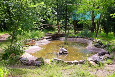 PANDEKORATIVE STONE DESIGN s.r.o., Rybník, zahradní jezírko